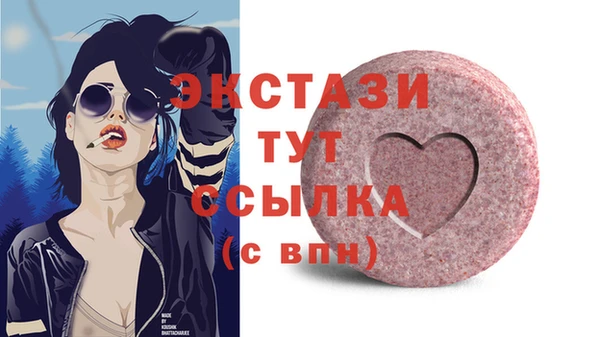 гашик Костерёво