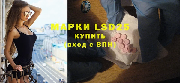 гашик Костерёво