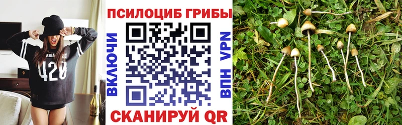 Псилоцибиновые грибы Cubensis  как найти закладки  Кондрово 